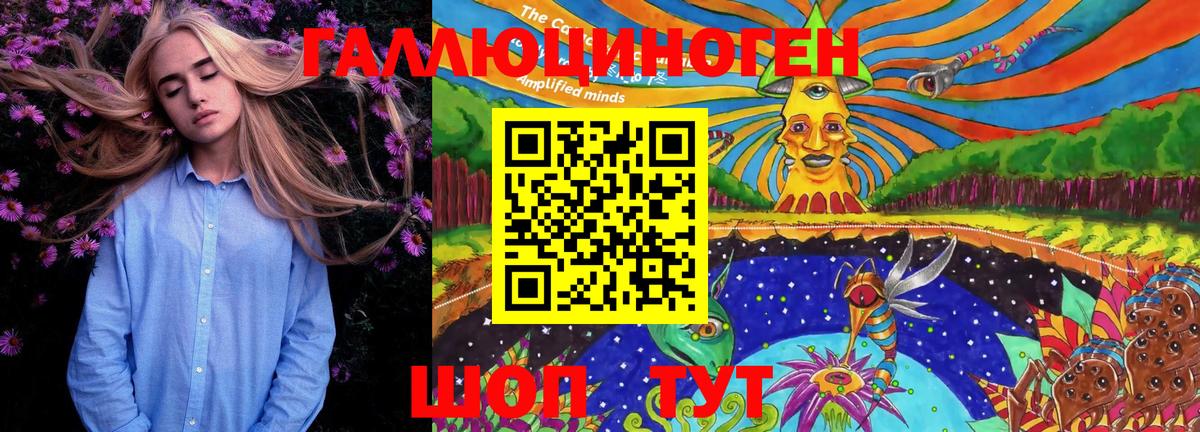 Великий Устюг  Галлюциногенные грибы Cubensis  Вход с VPN 
